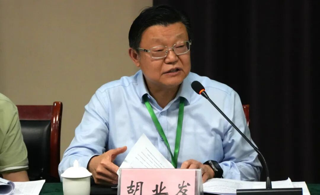 图片7